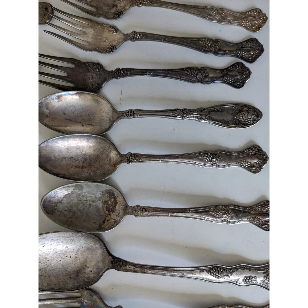 1847 Rogers Bros Grapes Pattern XS Triple Silverplate 29 Pc Vintage Antique READ